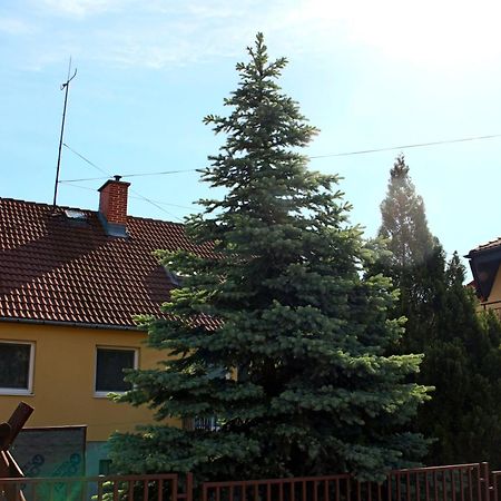 Dom Studia Petra Sturovo Exterior foto