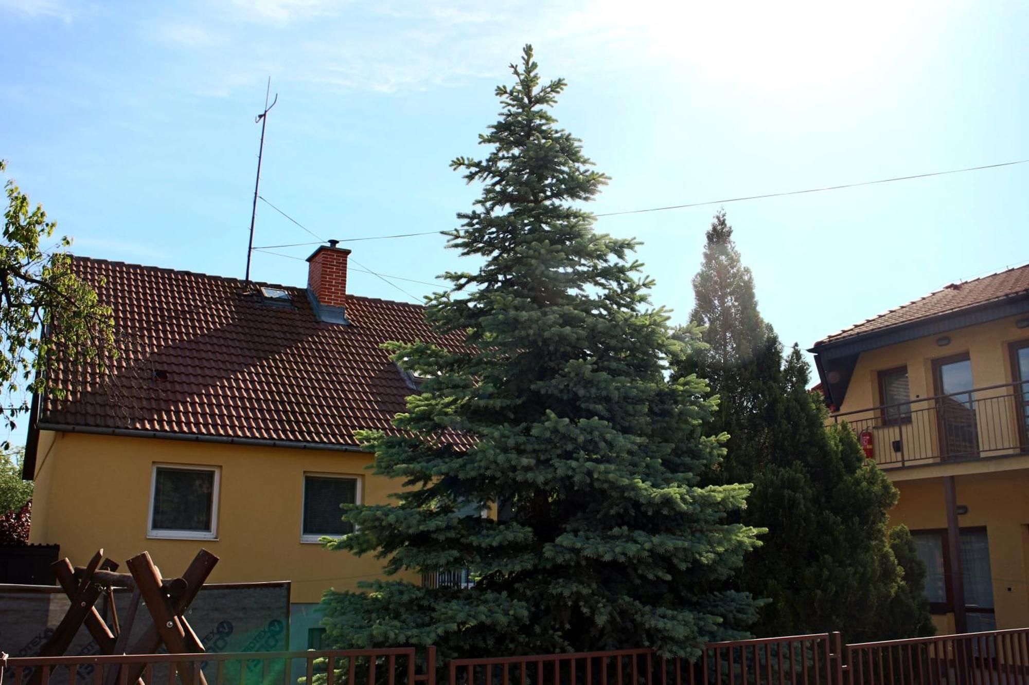 Dom Studia Petra Sturovo Exterior foto